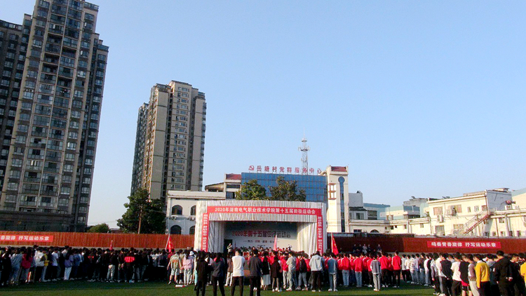 800.jpg