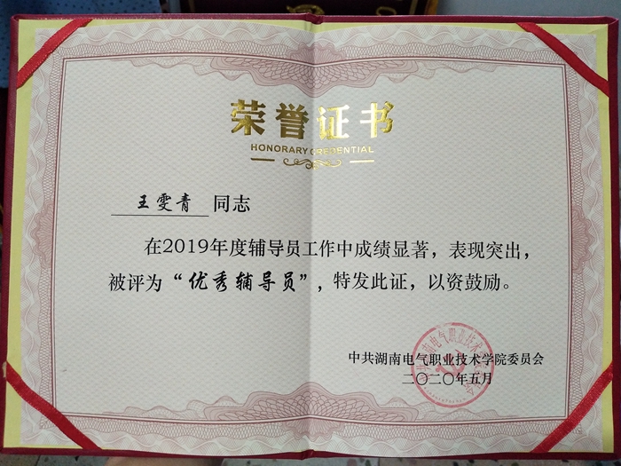 2019年度优秀辅导员.jpg