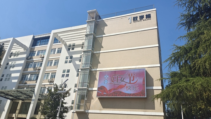 01.jpg