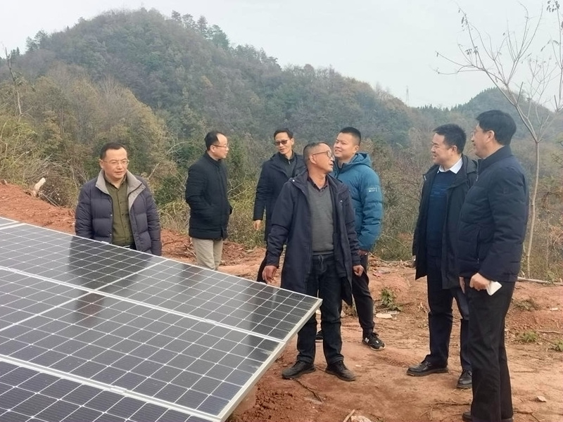 图片3.jpg 图片3.jpg